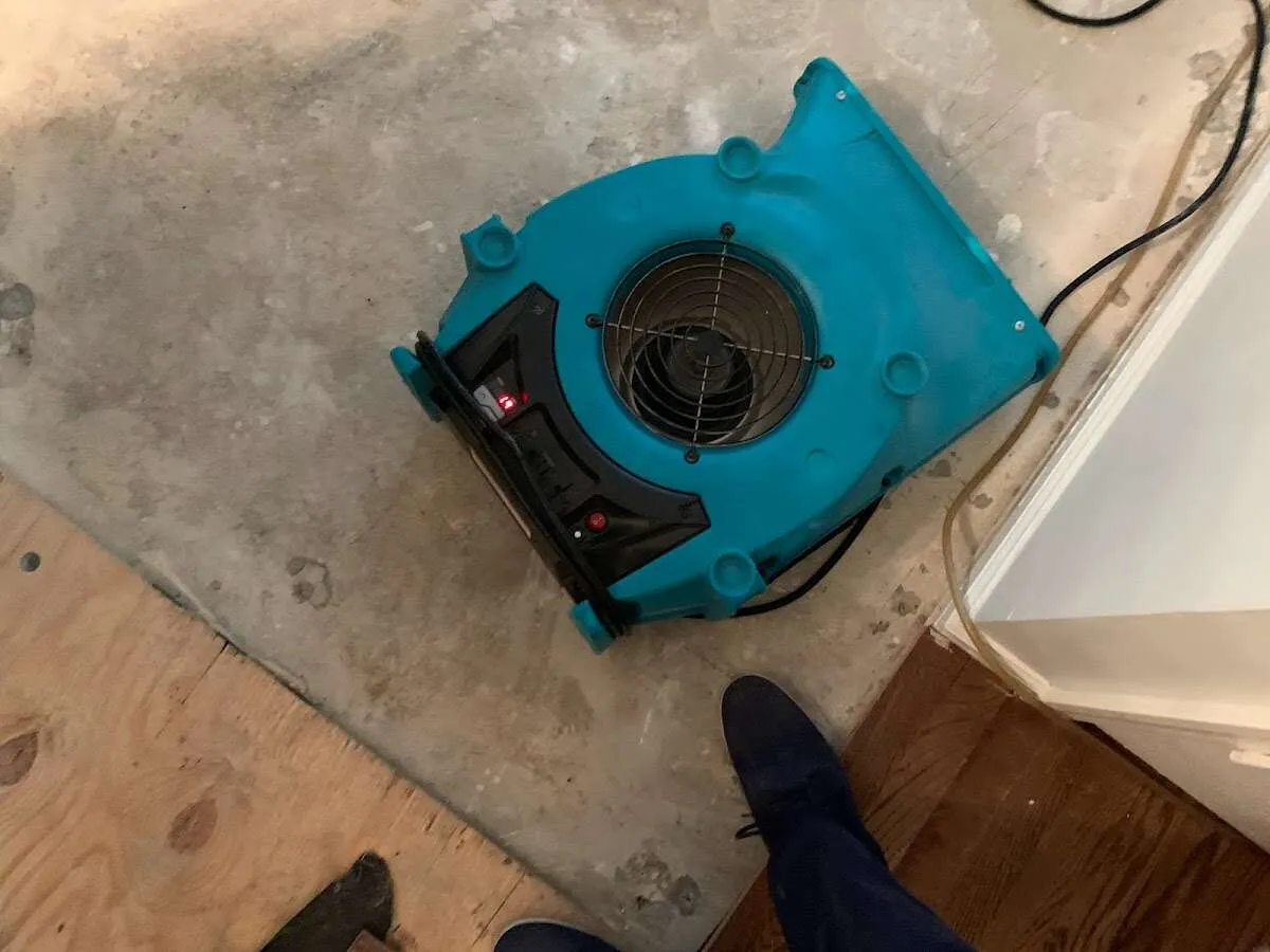 Air mover drying subfloor during Commercial Water Damage Restoration in Petaluma